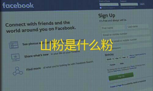 山粉是什么粉第五人格作弊菜单MOD